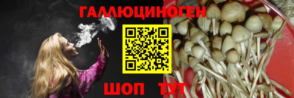 Галлюциногенные грибы Psilocybe Бутурлиновка