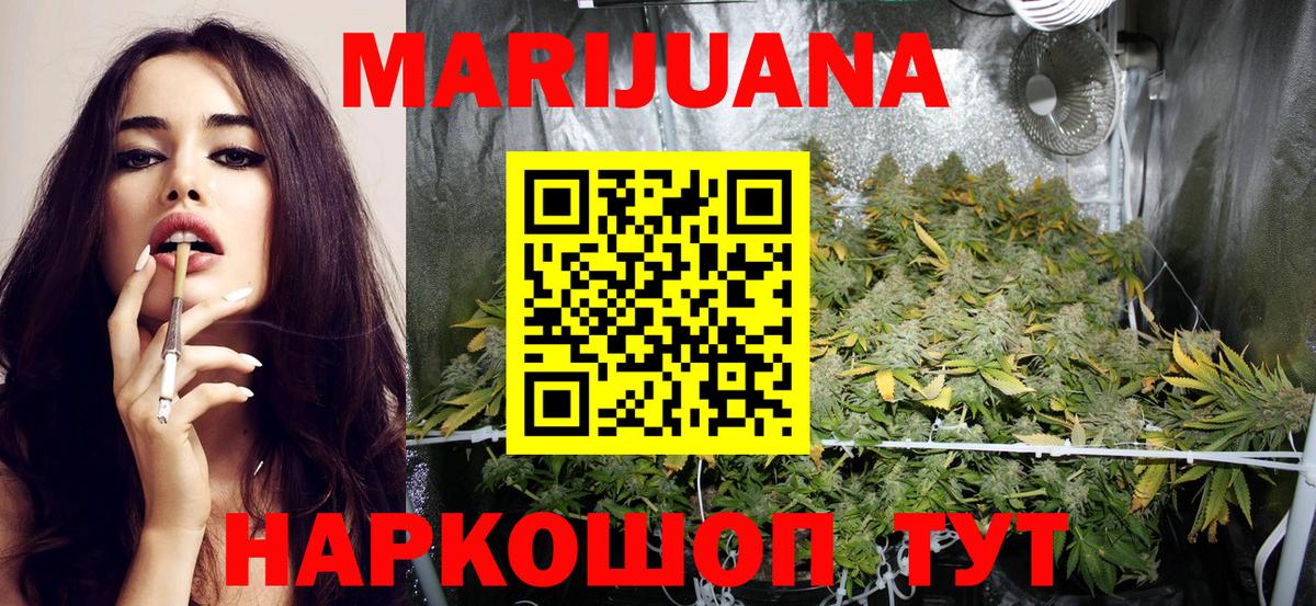 Шишки марихуана планчик  Марихуана MAZAR  Марихуана сатива  Бутурлиновка  Вход с VPN  Бошки Шишки Bruce Banner 